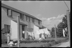 3780_Washing day , Greenbelt, Maryland