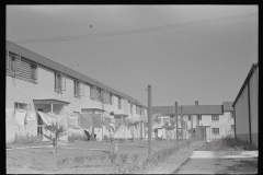 3785_Washing day , Greenbelt, Maryland