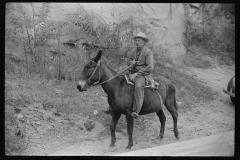 3823_Old miner on a mule,   Mohegan, West Virginia