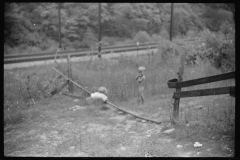 3906_Coal miner's children . Marine, West Virginia