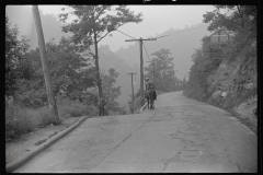 3908_ Old miner on mule,  near  Mohegan, West Virginia