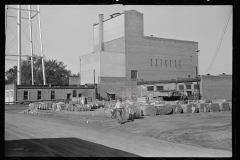 3924_Cotton store-yard, Enfield, North Carolina