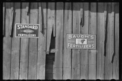 3940_Advertising signs on broken fence , Enfield , North Carolina