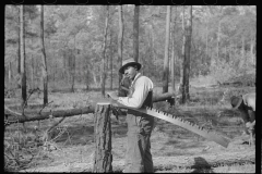 3944_Filing a saw, Roanoke Farms Project, North Carolina