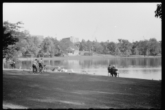 4016_Family feeding ducks in park on Saturday afternoon