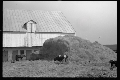 4099_Old barn near Sharpsburg