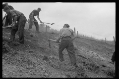 4136 Civilian Conservation Corps work at Tygart Valley Homesteads