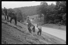 4138_Civilian Conservation Corps  working at Tygart Valley Homesteads, WV