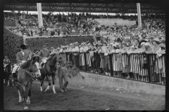 4181_Horse racing at Hialeah Park, Miami, Florida