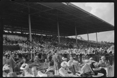 4182_Horse racing at Hialeah Park, Miami