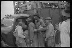 4192_Migrant Vegetable pickers, Homestead, Florida