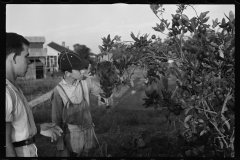 0048_ Resettlement  farmer and son