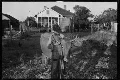 0052_Resettlement farmer's son