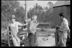 0072_Resettled farmer