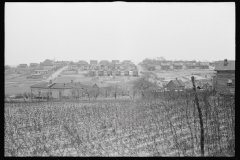 0265_African -American houses,  Winston-Salem, North Carolina