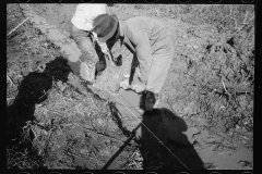 0349_Transient workers clearing land, Prince George's County, Maryland]