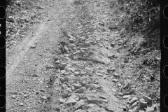 0394_Rough ungraded road, Garrett County, Maryland
