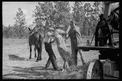 0648_ Possibly construction at Wolf Creek, Georgia