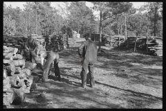 2606_ Piling  logs  on Eastern Shore Land Use Project, Maryland