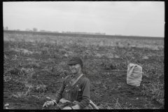 3011_Potato worker, near East Grand Forks, Minnesota