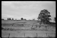 3224_Eroded farmland, Indiana