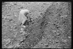 3651_Black-American woman picking up coal , Cassville