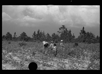 0026_Cotton sharecropper and Children,