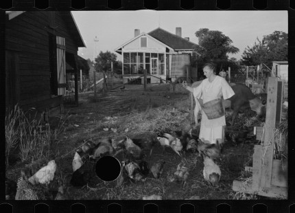 0046_Resettlement farmer's wife