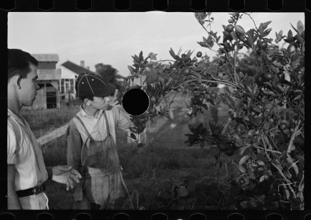 0048_ Resettlement farmer and son