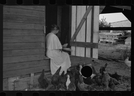 0050_Resettlement farmer's wife with hens