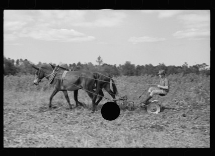 0067_ Resettlement farmer with harrow