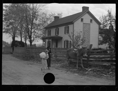 0140_Women passing mule at Nethers , Virginia