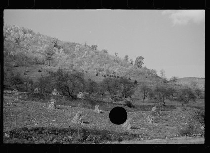0156_Fields near Sperryville, Virginia