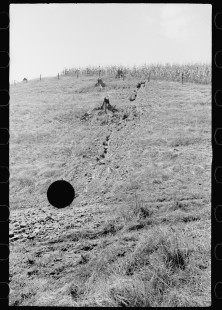 0218_Hillside farm land detail, Garrett County, Maryland