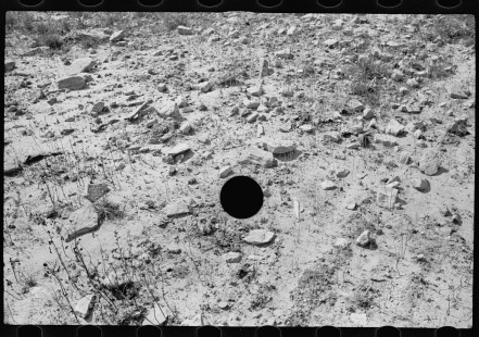 0219_Hillside farm land detail, Garrett County, Maryland