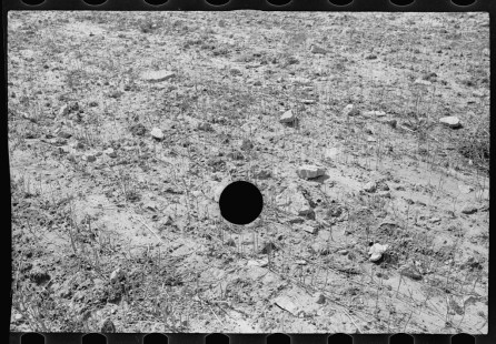 0220_Hillside farm land detail, Garrett County, Maryland