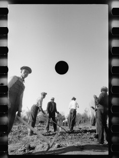 0342_Transient labour clearing land. Prince George's County