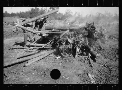 0344_Land clearance , Prince George's County, Maryland