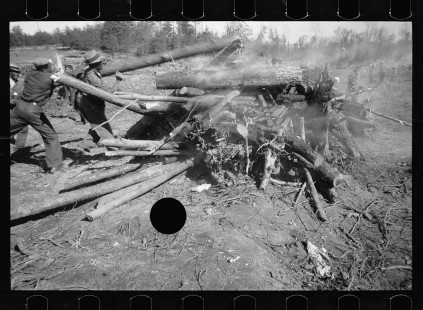 0345_Land clearage, Prince George's County, Maryland