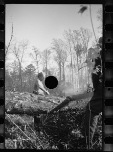 0348_Transient worker clearing land, Prince George's County