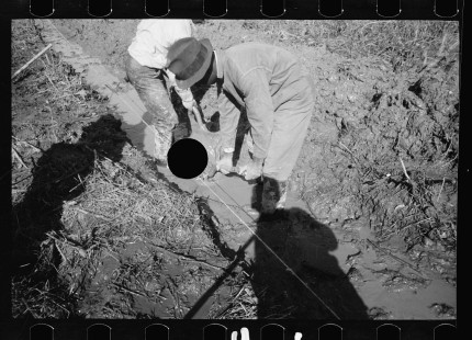 0349_Transient workers clearing land, Prince George's County
