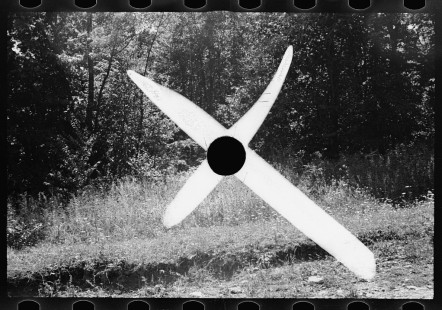 0405_killed negative , related to timber extraction