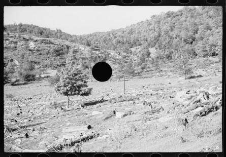 0406_Logging , Garrett County