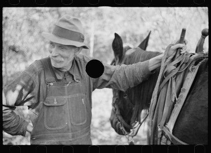 0412_Farmer 'losing' timber-land to government option