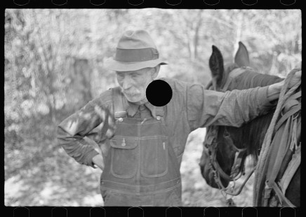 0413_Farmer 'losing' timber-land to government option