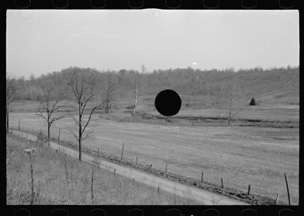 0448_ Abandoned farmland, Brown County