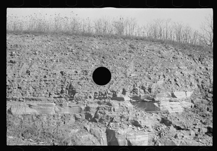0450_ Abandoned farmland, Brown County
