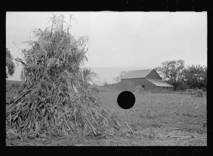 0465_Farm, large barn, clearing field / crop gathering