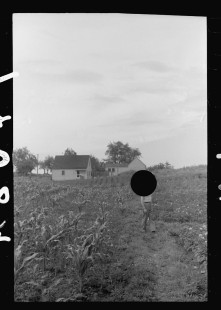 0555_Tygart Valley Homesteads , West Virginia