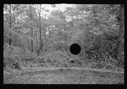 0575_Possibly near Huntsville , Arkansa